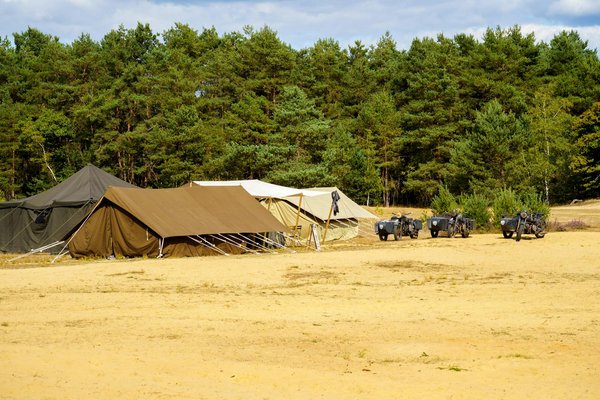 Explore les trésors incontournables d'un séjour en martinique